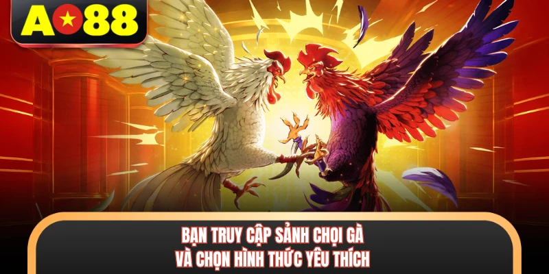 Đá Gà Tre AO88 - Sảnh Thi Đấu Trực Tiếp Đỉnh Cao Nhất 6 Quy tắc phân định kết quả được chia sẻ rất minh bạch