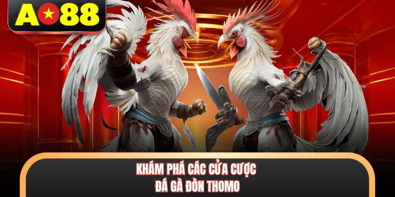 Đá Gà Đòn Thomo - Kinh Nghiệm Đặt Cược Đỉnh Cao Tại AO88 7 Khám phá các cửa cược đá gà đòn Thomo