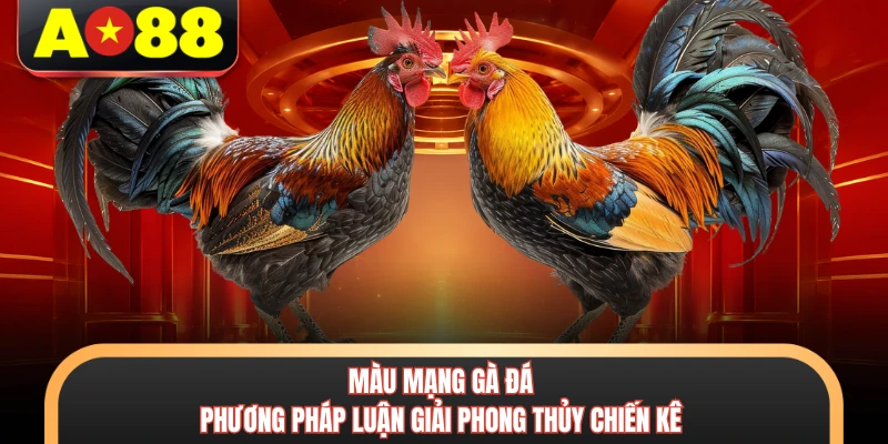 Màu Mạng Gà Đá - Phương Pháp Luận Giải Phong Thủy Chiến Kê 4 Màu Mạng Gà Đá - Phương Pháp Luận Giải Phong Thủy Chiến Kê