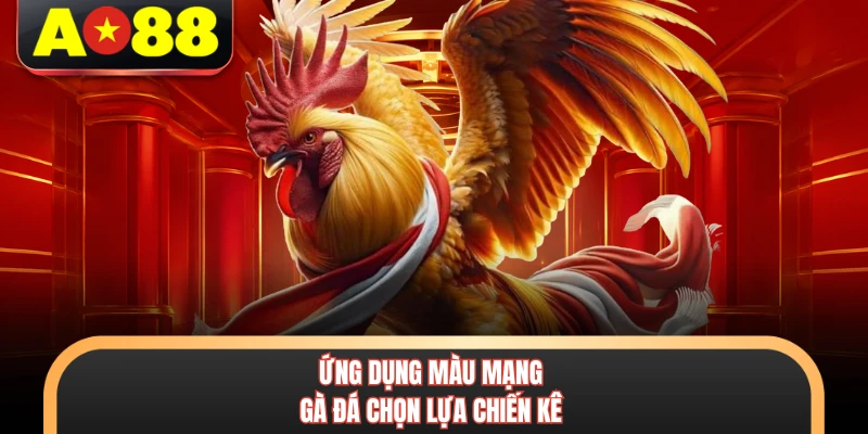 Màu Mạng Gà Đá - Phương Pháp Luận Giải Phong Thủy Chiến Kê 5 Ứng dụng màu mạng gà đá chọn lựa chiến kê